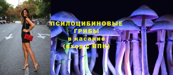 дживик Заволжье