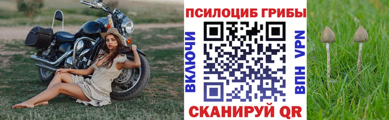 Галлюциногенные грибы прущие грибы  наркошоп  Ярославль 