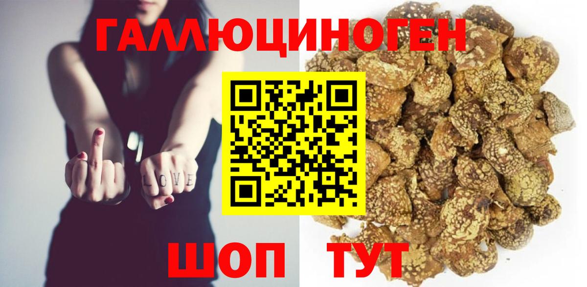 Россия  Галлюциногенные грибы Cubensis  Галлюциногенные грибы Cubensis  Вход с VPN 