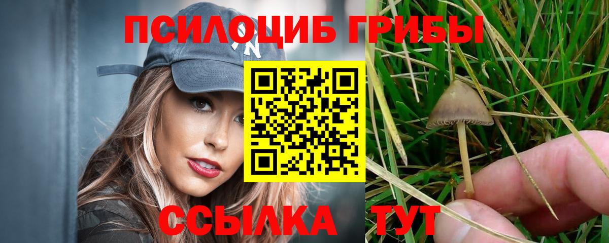 Галлюциногенные грибы ЛСД Россия